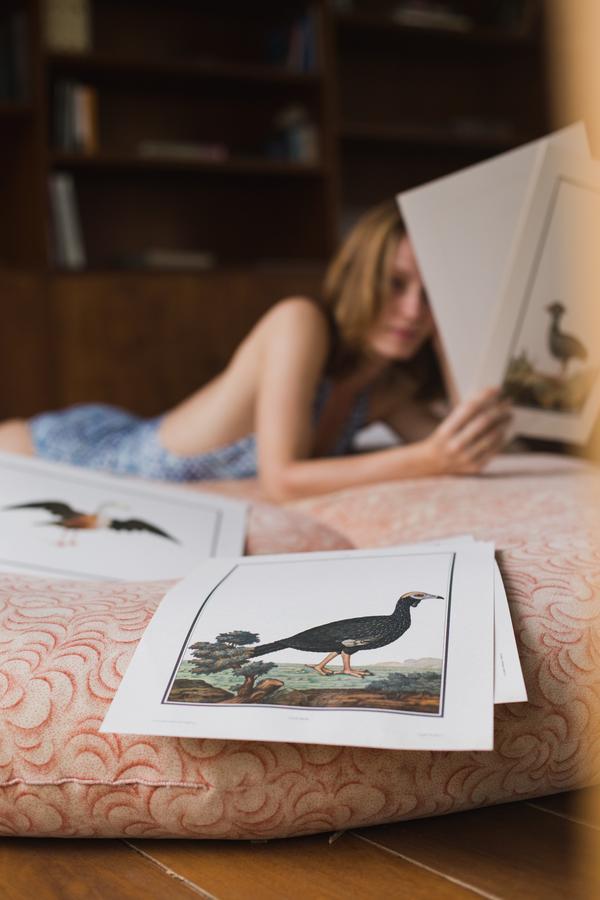 Chez Georges Bed & Breakfast Rio de Janeiro Luaran gambar